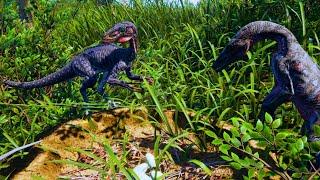 The Troodon Survival Experience | the isle evrima