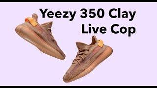 Yeezy Boost 350 Clay Live Cop (5 pairs using Dashe) #yeezy #livecop #dashe