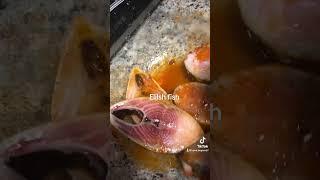 How to make Elish fish fry @desi chefs