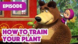 Masha and the Bear  NEW EPISODE 2022  How to Train Your Plant (Episode 99) 