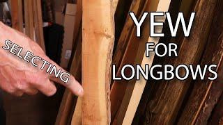 How to select Yew wood for English Longbows and Warbows, bow wood material selection