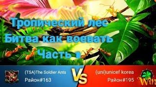 (1)The ants:Underground Kingdom Тропический лес Битва Rainforest Battle