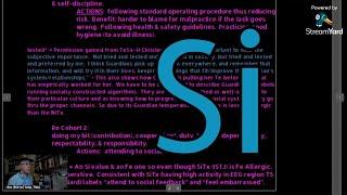 Si = "Introverted Sensing", its Values & #JungianSubfunctions.  #SubjectiveSensoryInstincting