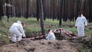 Поисковые группы находят новые тела погибших во время боев в Донецкой области