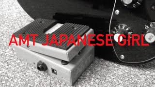 AMT Japanese Girl Wah Pedal