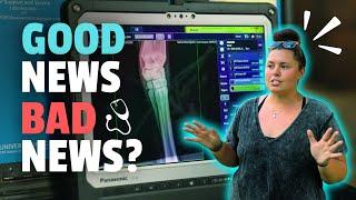 What Happens If She's Pregnant? | Vet Visit