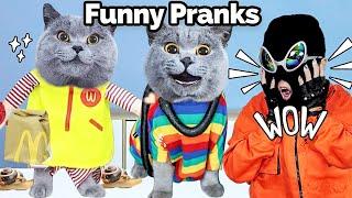 Oscar’s TOP SURPRISING Prank Video Revealed! | Oscar‘s Funny World | New Funny Cat Videos 2023
