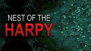 Purging The HARPY Nest - They Are Billions | Normal 50%