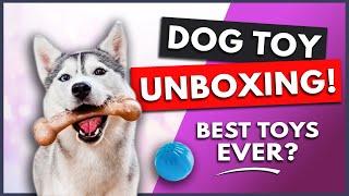 DOG TOY UNBOXING AND REVIEW | Husky Gets New Toys!