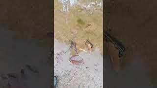 #music https://youtu.be/gPg71shpGco?si=GBQxy0VDds47ppxo April 10, 17:40  ½°¹²'44.6"N, 102°18'36.4"E