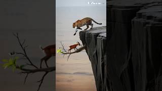  Leopard vs Deer: Heart-Stopping Cliff Showdown!️ 표범 대 사슴: 심장이 멎을 듯한 대결! #shorts #goat #leopard