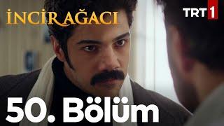 İncir Ağacı 50. Bölüm