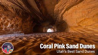 Coral Pink Sand Dunes State Park - Utah's Best Sand Dunes