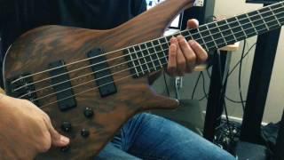 Manne Moab Special 5 String Bass Sound Demo