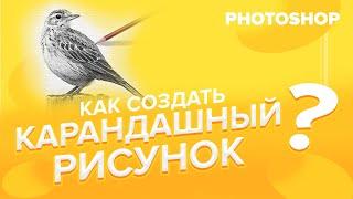 Как создать КАРАНДАШНЫЙ РИСУНОК в Фотошопе?️