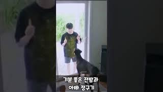 기분 좋은 '전밤' , 아빠 '정구기' 뒷모습도 닮았어 #shorts #정국