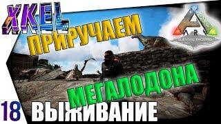 Приручаем МЕГАЛОДОНА! #18  - #ArkВЫЖИВАНИЕ В одиночку! Ark: Survival Evolved Прохождение