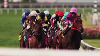 Goldy Espony Faces Sandiva in 2017 Suwannee River Stakes