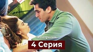 Зимородок 4 Cерия (Русский дубляж)