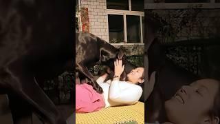 This dog is creating the new generation 780