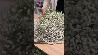 Свежая поставка гипсофилы ЦВеты #цветы #василек #букеты #flowers #гипсофила