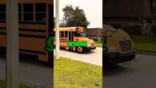 Which School Bus