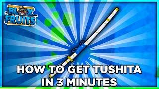 How To Get Tushita Under 3 Minutes | Blox Fruit Tushita Puzzle