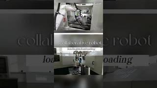 Collaborative Robot: Mastering Loading and Unloading#collaborativerobots #loadingandunloading