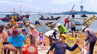 Cửa Đại Cổ Luỹ Sông Trà Khúc | Chợ Quảng Ngãi Toàn Đặc Sản Ngon