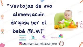 Ventajas de la alimentación dirigida por el bebé (blw)