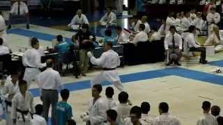 3 WC JKS 2013. Male kumite.Aka- Oleg Jastrebov (Ukraine) Ippon