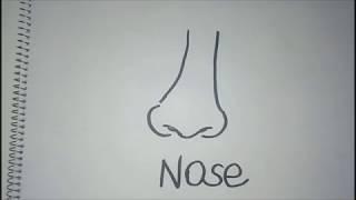 How to draw a nose for kids easy