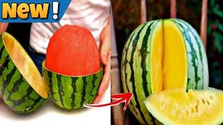 Most Unusual Watermelon In The World | yellow watermelon | Factop Tv