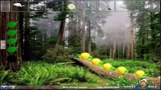 Greenwood Forest Escape walkthrough Games2rule