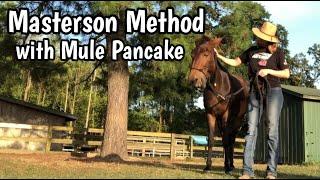 Masterson Method With Mule Pancake - Bladder Meridian Technique