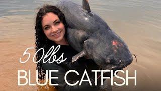 NOODLING A 50lbs BLUE CATFISH