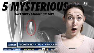 5 Mysterious creatures caught on tape | Simbly Curious