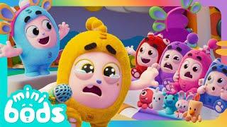 Too Shy For Showtime  | Minibods | Preschool Cartoons for Toddlers