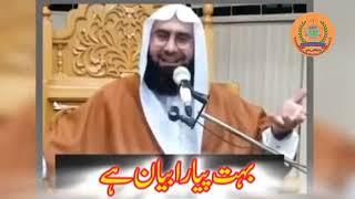 Hazrat molana Ahmed Jamshed Khan sahab khubsurat andaaz me bayan #akabdulkhalikabbasi