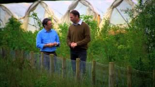 Alan Titchmarsh visits British strawberry producer Harry Hall - Waitrose