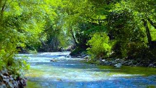 "The Child In Me" music for  sleep & deep relaxation 4K