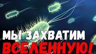 СИМУЛЯТОР БАКТЕРИИ! 2018