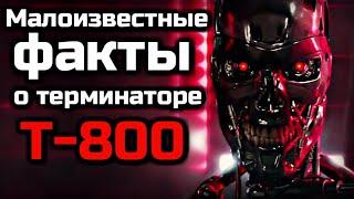 МАЛОИЗВЕСТНЫЕ ФАКТЫ О ТЕРМИНАТОРЕ Т-800