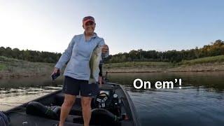 Largies and Smallies O-MY! - Bull Shoal BFL Super Tournament