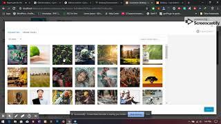 Bizberg WordPress Theme : How To Change The Breadcrumb Image