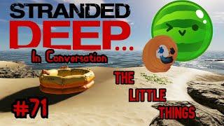 Stranded Deep... In Conversation | The Little Things