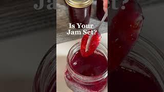 Is Your Jam Set?? #jam #jelly #canning #lifeatthenest