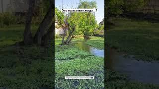 Закатала / природа | речки /ручеек