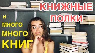 заполняю НОВЫЕ КНИЖНЫЕ ПОЛКИ  перевезла книги в новую квартиру