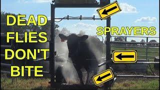 Best Fly Spray For Cows